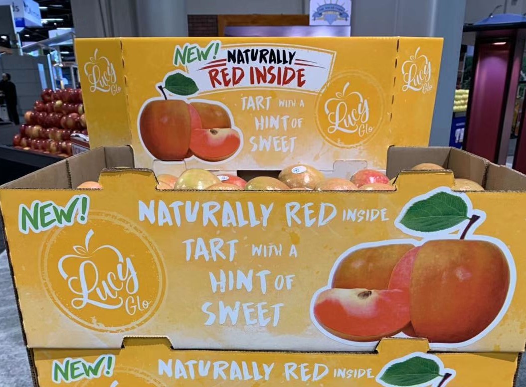 Chelan Fresh Gears Up for 2020 Lucy Apple Harvest Produce Report